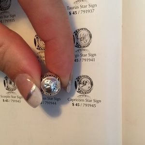 Capricorn pandora charm